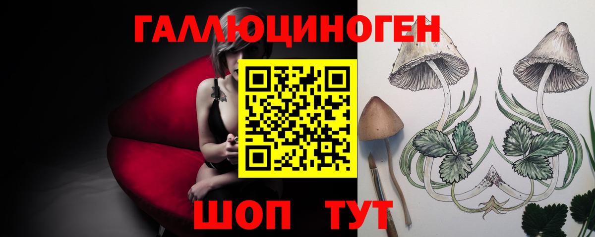 Галлюциногенные грибы Magic Shrooms Павловский Посад